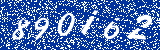Capcha image