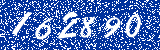 Capcha image